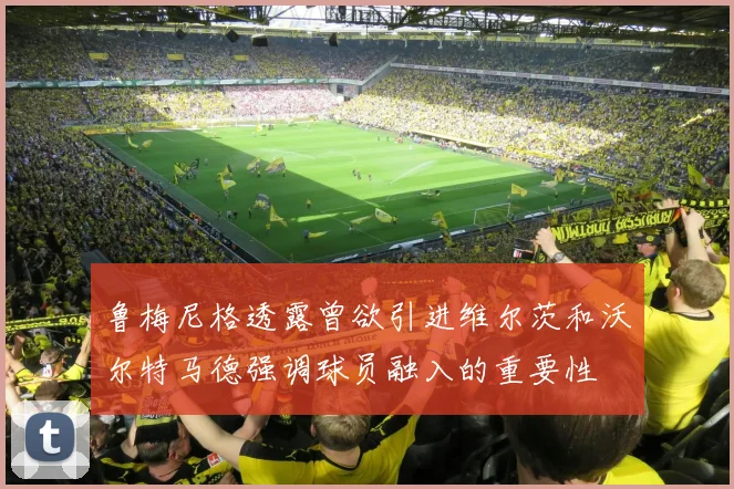 鲁梅尼格透露曾欲引进维尔茨和沃尔特马德强调球员融入的重要性
