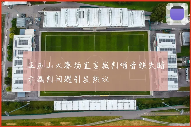 亚历山大赛场直言裁判哨音缺失暗示漏判问题引发热议